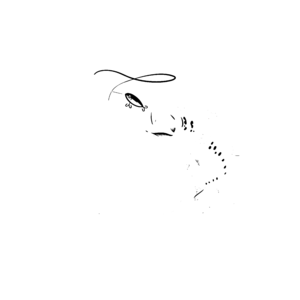 Szeretem a nagy szájat a botomon.