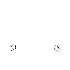 Elolvastam a szabályokat, ezért neked nem kell.