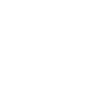 Funkcionális felnőtt