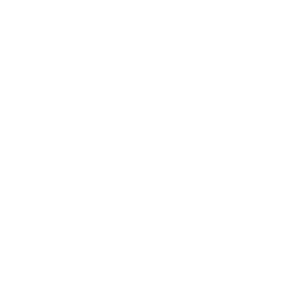 Ne tegyük a hülyéket híressé