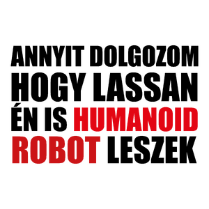 Humanoid robot