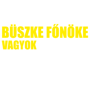 Büszke főnöke vagyok a zseniális alkalmazottaimnak!